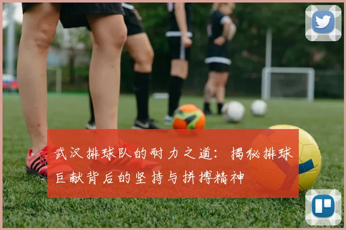 武汉排球队的耐力之道：揭秘排球巨献背后的坚持与拼搏精神